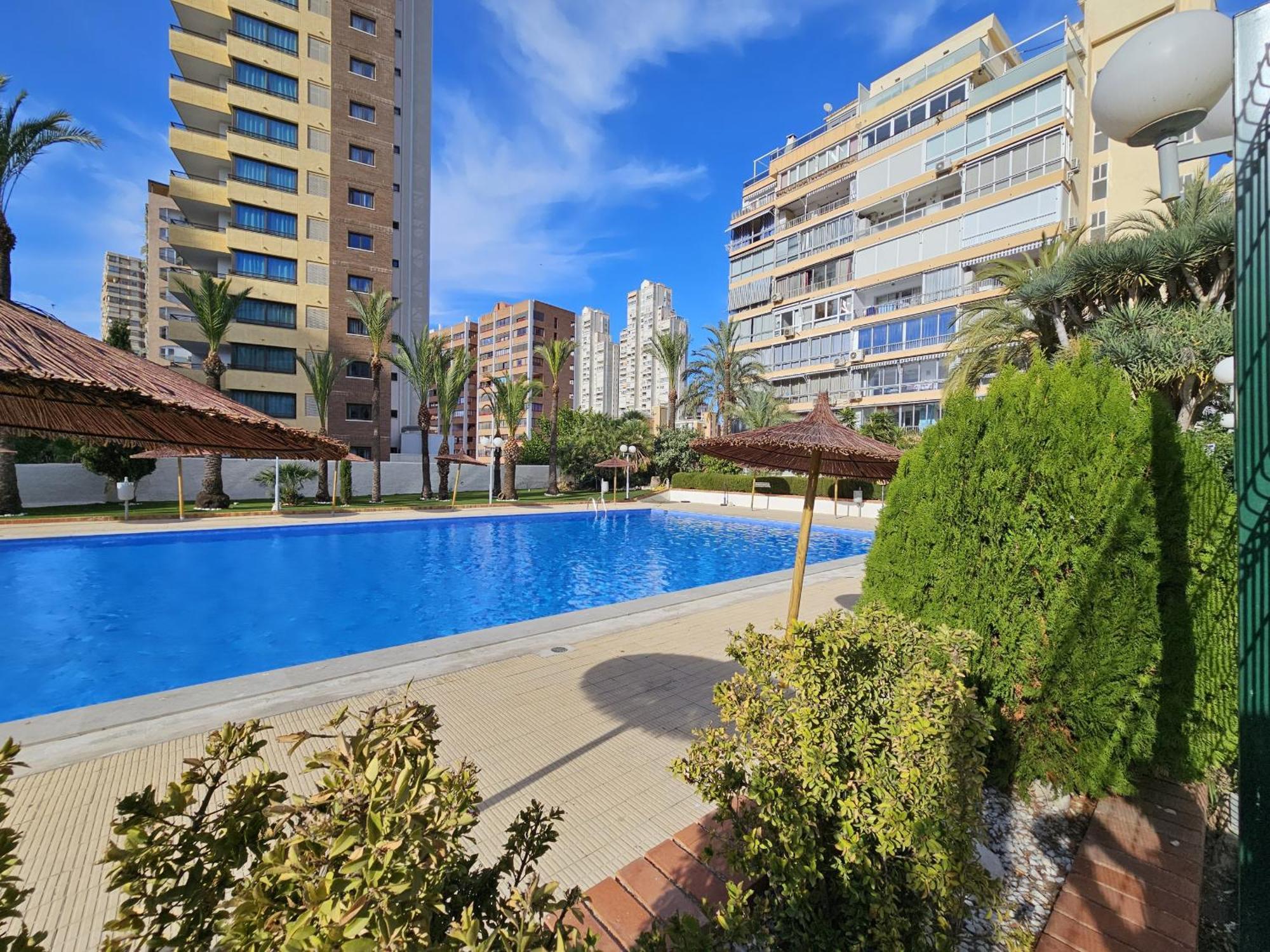 Apartment Estudio Bermudas If Benidorm